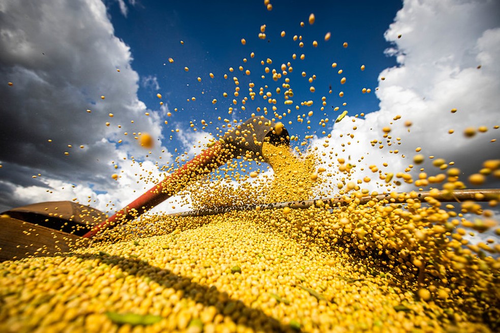 Foto: Divulgação/Agropecuária
