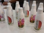 Inpa recebe concessão de patente de iogurte funcional que atua na prevenção de doenças gástricas
