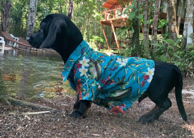 whatsapp-image-2022-01-07-at-191926