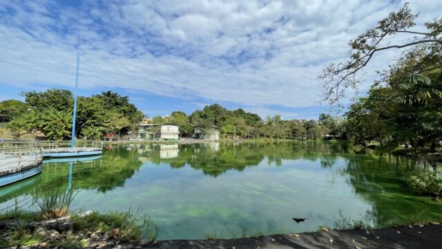 Parque Municipal Lagoa Senador Arthur Virgílio Filho, conhecido como Lagoa do Japiim, em Manaus. — Foto: Divulgação
