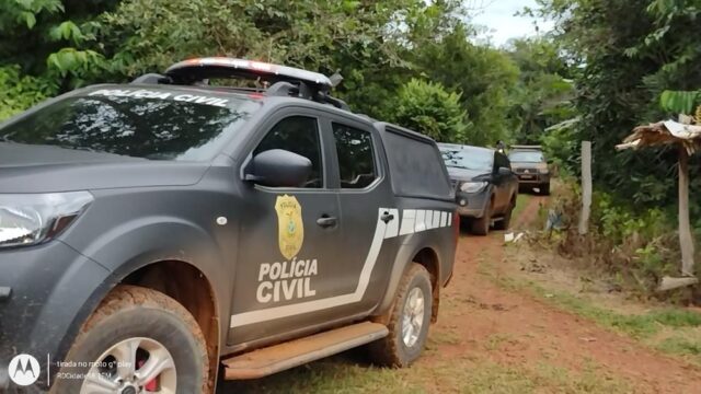 Polícia coletou amostras de plantas perenes e de longo cultivo que estavam com suas folhas em processo de secagem. — Foto: Divulgação