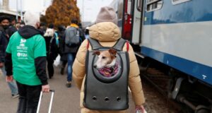 Governo prorroga concessão de visto para refugiados ucranianos