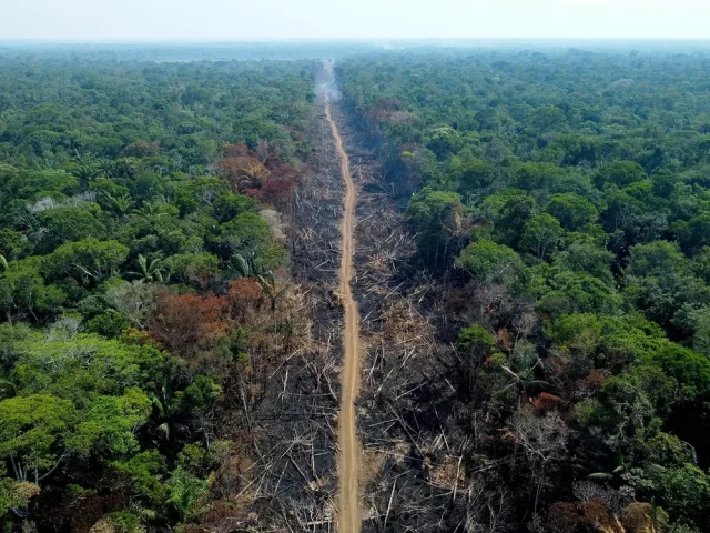 transamazonica