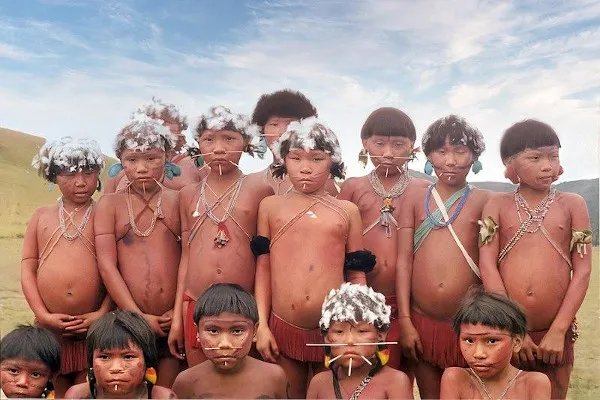 grupo-de-meninos-pertencentes-ao-povo-yanomami-um-grupo-indigena-que-habita-o-norte-da-floresta-amazonica
