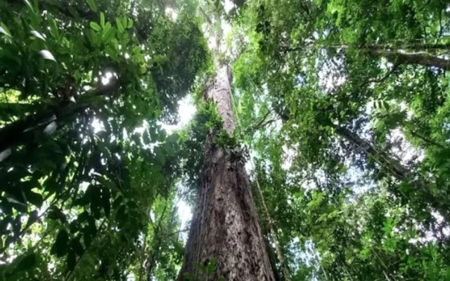 novo-projeto-15-
