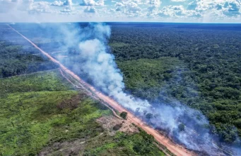 Estudo aponta que rede de ramais na BR-319 é quase seis vezes maior que a própria rodovia