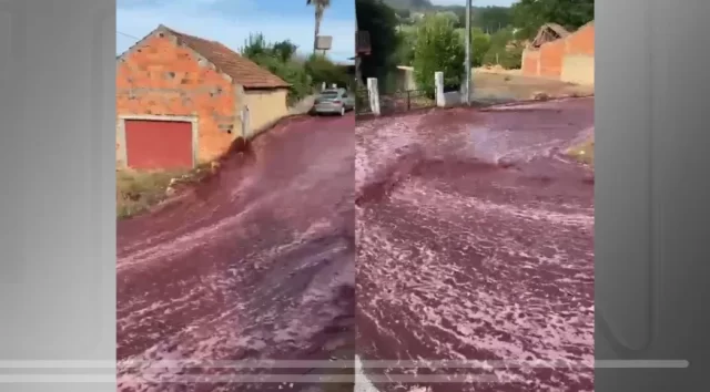 rio-de-vinho-anadia-portugal