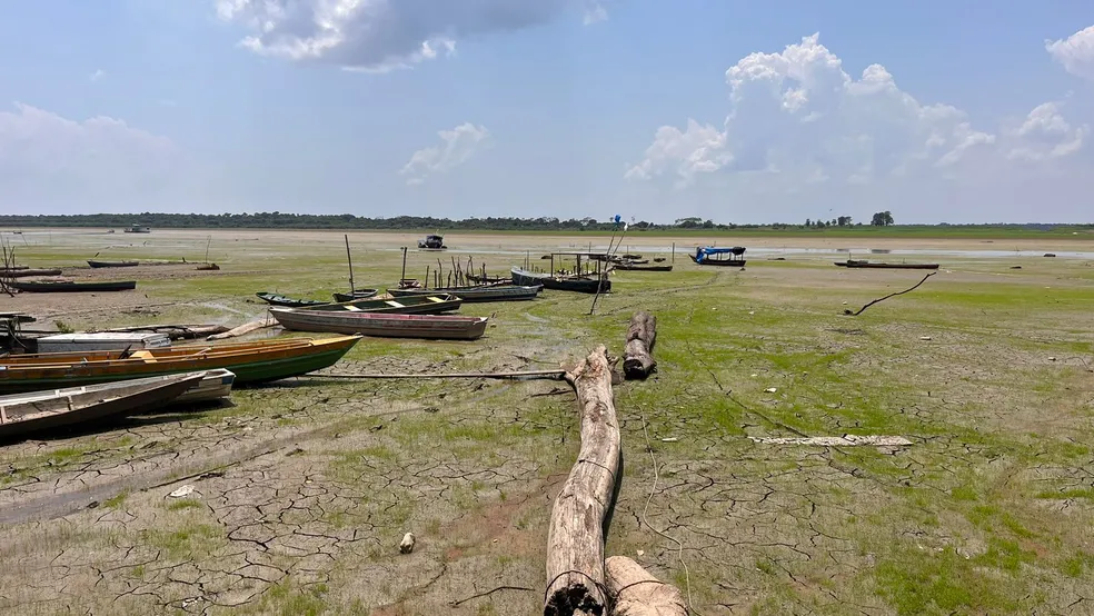 Nas Ondas da Amazônia: A Primeira Mulher Navegadora Fluvial do