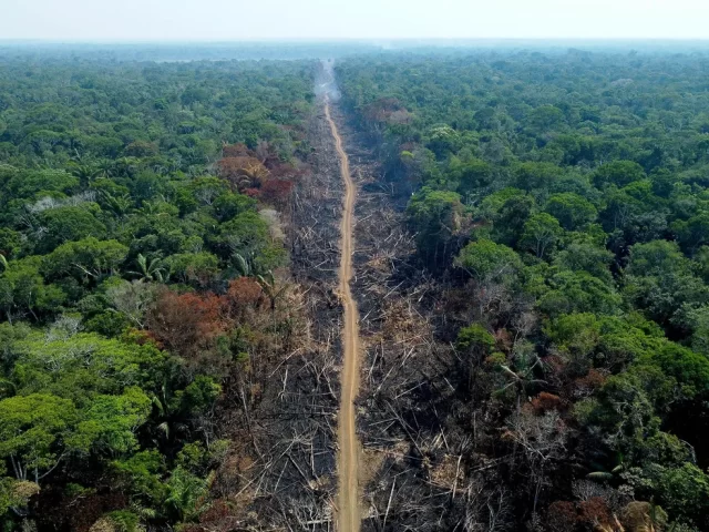 transamazonica