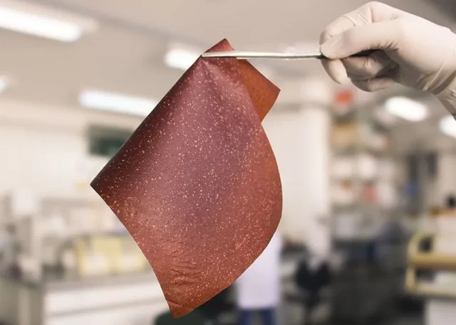 filme-bioplastico-da-banana