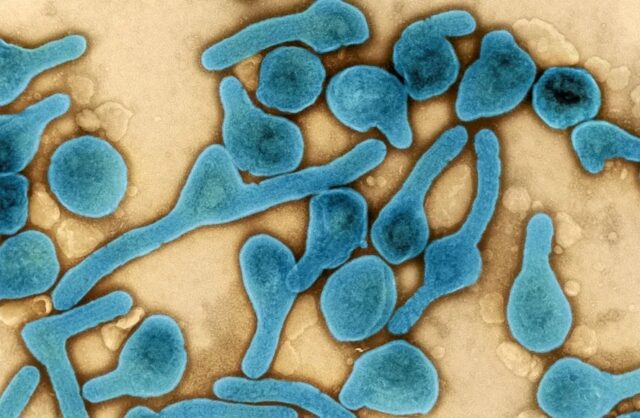 WhatsApp Image 2024-10-03 at 12.49.54