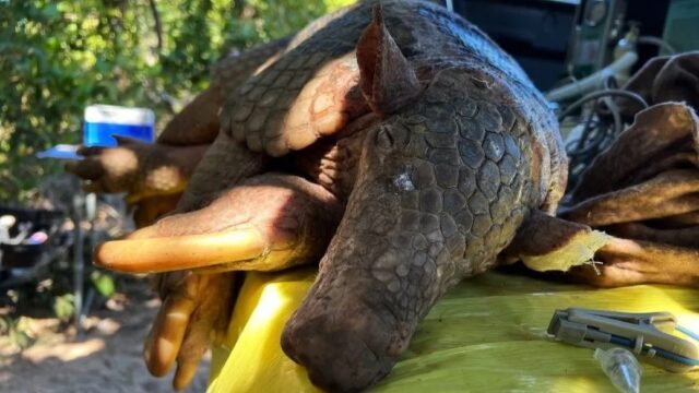 WhatsApp Image 2024-10-22 at 13.55.44