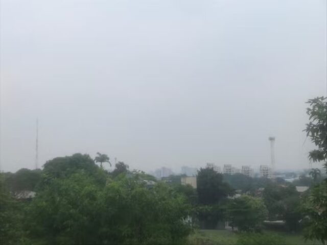WhatsApp Image 2024-11-04 at 13.15.50
