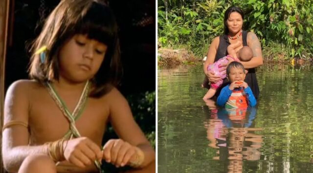 WhatsApp Image 2024-11-27 at 11.30.59