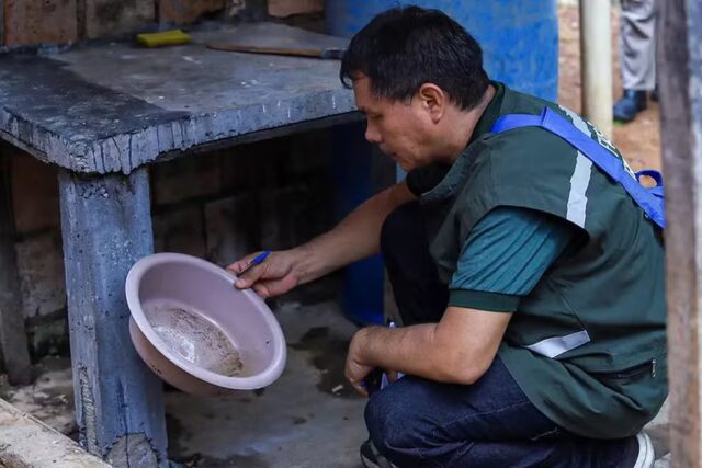 WhatsApp Image 2024-12-30 at 12.11.34