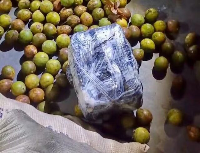 WhatsApp Image 2025-01-13 at 12.39.42