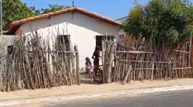 WhatsApp Image 2025-02-03 at 10.15.57