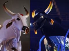 Torcedores de Caprichoso e Garantido acampam na fila da galera a 10 dias do 58º Festival de Parintins