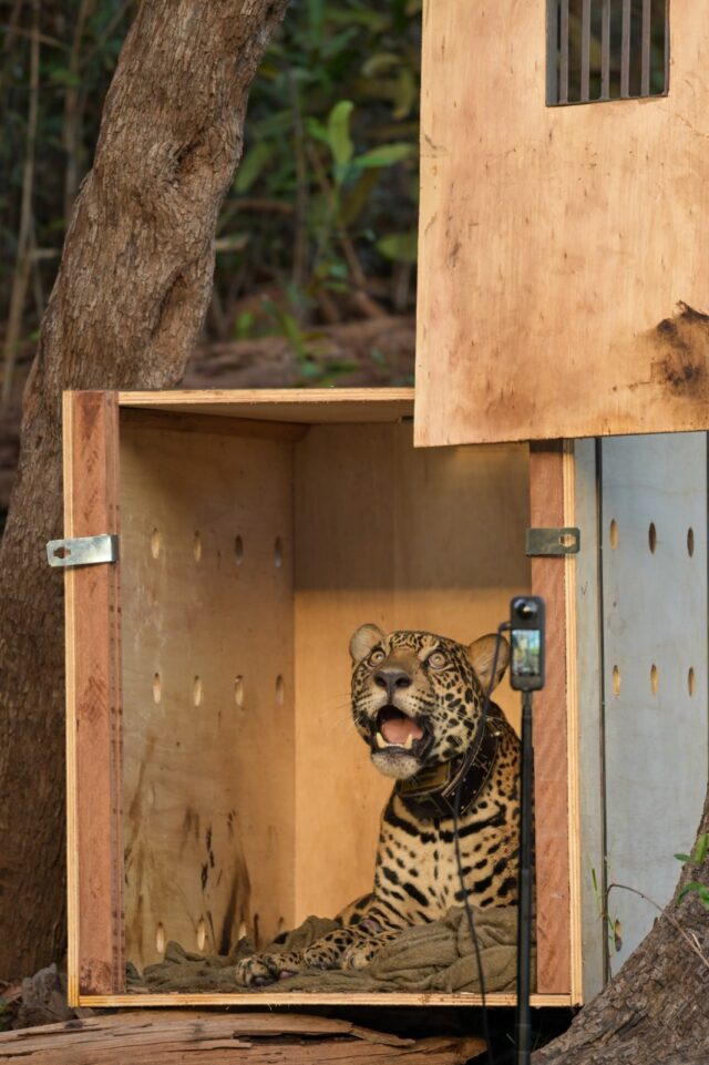 WhatsApp Image 2025-11-24 at 10.43.23