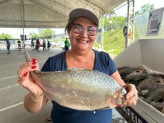 Feirão do Pescado começa nesta sexta em Manaus com 50 toneladas de peixe; veja horários e locais