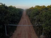 Senador diz que Amazonas “não pode ser penalizado” e cobra licença ambiental da BR-319