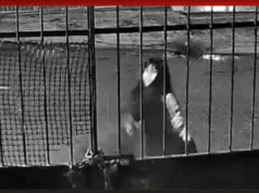 Vídeo mostra discussão dias antes de suspeito matar vizinha na Zona Sul Manaus