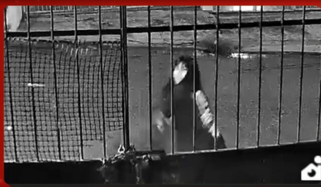 WhatsApp Image 2026-01-29 at 10.15.17