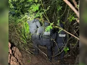 Polícia encontra corpo de corretora desaparecida em GO; dois foram presos
