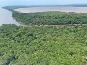 Nova lei de licenciamento ambiental ameaça Unidades de Conservação e a biodiversidade no AM, apontam especialistas