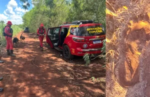 Criança sequestrada é encontrada morta no PR; suspeito atacou grávida antes