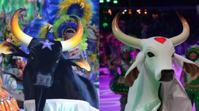 WhatsApp Image 2026-02-09 at 22.02.47