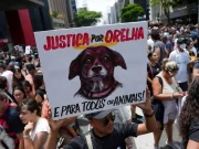 Caso Orelha: polícia pede internação de adolescente envolvido no crime