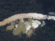 MPF aponta risco de contaminação por mercúrio usado no garimpo ilegal em comunidades do interior do AM