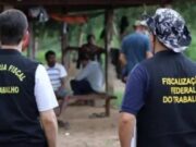 Empregadores do Amazonas estão na ‘Lista Suja’ do trabalho análogo à escravidão; veja quem são