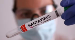 OMS descarta indícios de “surto maior” de hantavírus