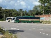 Vítima foi identificada como Paulo Levy da Silva Bezerra. Segundo familiares, vítima havia acabado de desembarcar da condução escolar quando foi atingido por uma picape.