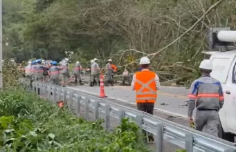 Ventos levam caos ao Rio de Janeiro: veja estragos e números do apagão