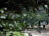 Frio perde intensidade no Sul e seca persiste no centro do país
