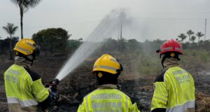 Incêndio florestal consome 700 hectares em Cacau Pirêra, distrito de Iranduba; Bombeiros suspeitam de crime ambiental