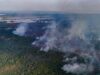 Fogo avança no interior do Amazonas e destrói área de quase mil campos de futebol