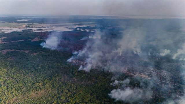 fogo-se-espalha-pela-area-de-mata-do-lago-do-canacari-em-itacoatiara-foto-liam-cavalcante-rede-amazonica