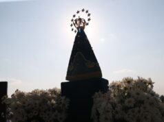 Dino manda PF investigar disseminação de ataques a imagens católicas