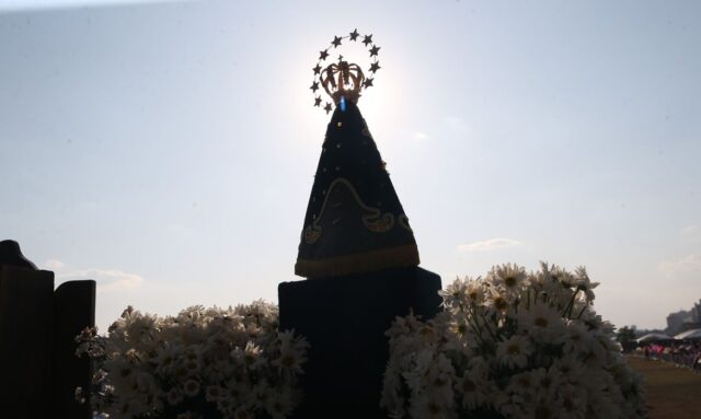 vac_abr_1210221298