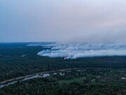 Incêndios colocam mais da metade das cidades do Amazonas em emergência; fumaça suspende aulas