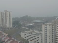 Após 14 dias consecutivos de fumaça, chuva melhora qualidade do ar em Manaus; situação varia no interior do AM