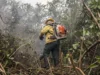 Incêdios no Amazonas resultam de ação humana intencional, diz ministro