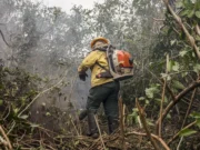 Incêdios no Amazonas resultam de ação humana intencional, diz ministro