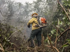 Incêdios no Amazonas resultam de ação humana intencional, diz ministro