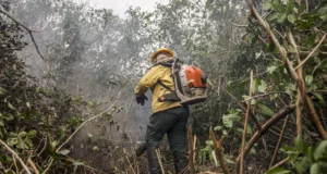 Incêdios no Amazonas resultam de ação humana intencional, diz ministro